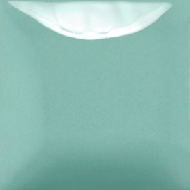 Spruce It Up - 16-oz Mayco Stroke & Coat